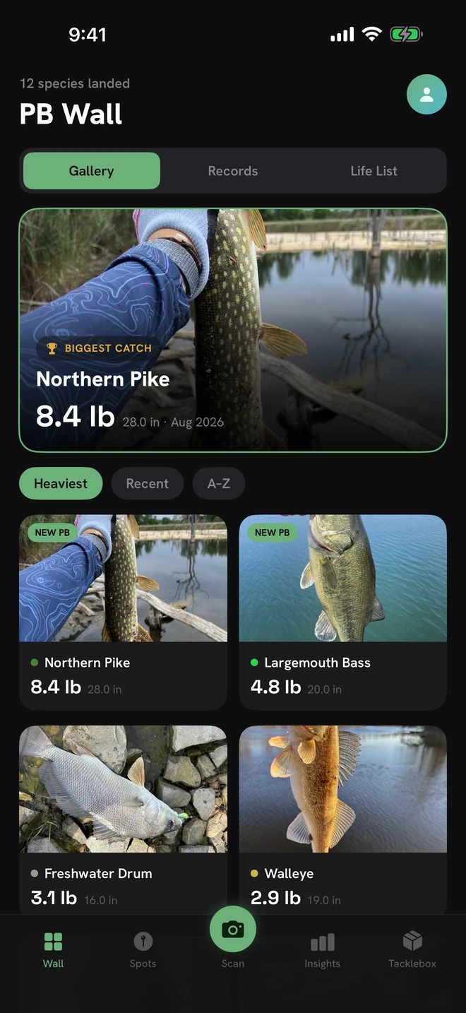 The PBCatch Personal Best Wall, showing a trophy card per species